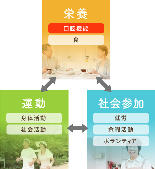 栄養：口腔機能・食 社会参加：就労・余暇活動・ボランティア 運動：身体活動・社会活動