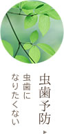 虫歯予防 虫歯にならないために