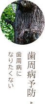 歯周病予防 歯周病にならないために