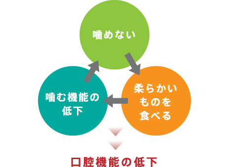 歯がぐらつく／歯茎からの出血／歯茎が下がった・痩せた