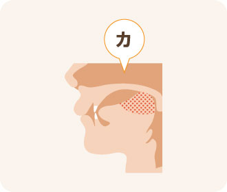 カ