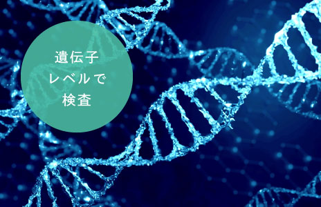 遺伝子レベルで検査