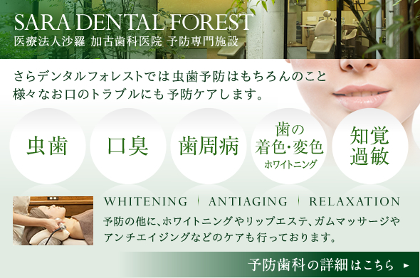 医療法人沙羅 加古歯科医院 予防専門施設 SARA DENTAL FOREST