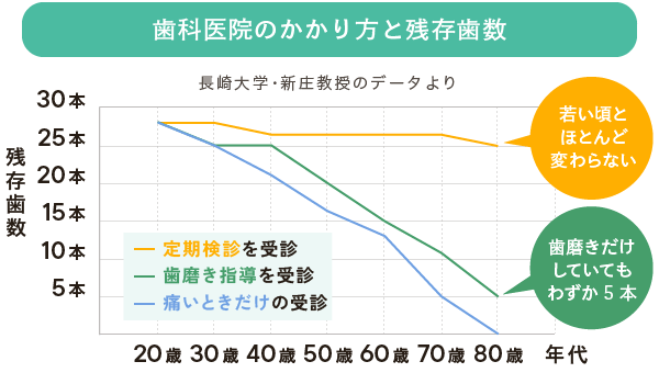 歯科医院のかかり方と残存歯数