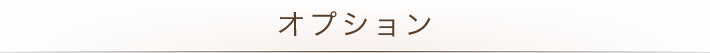 オプション