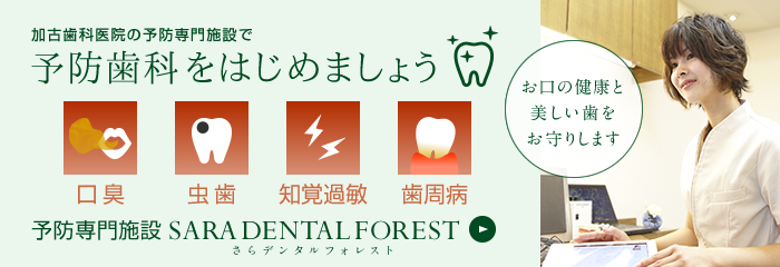 歯、お口に関する予防は加古歯科医院の予防専門施設 さらデンタルフォレストへ