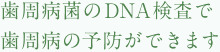 歯周病菌のDNA検査で歯周病の予防ができます