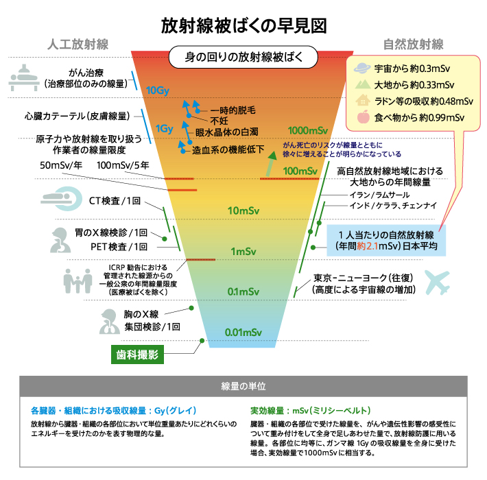 放射線被ばくの早見図