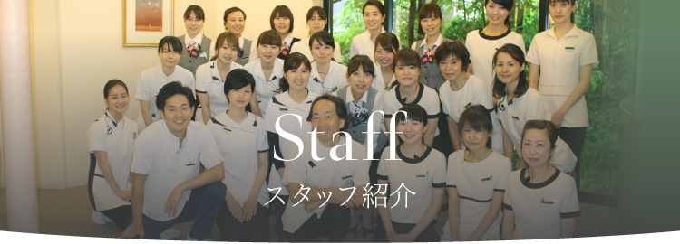 staff スタッフ紹介