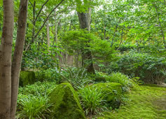 緑と光あるれる環境